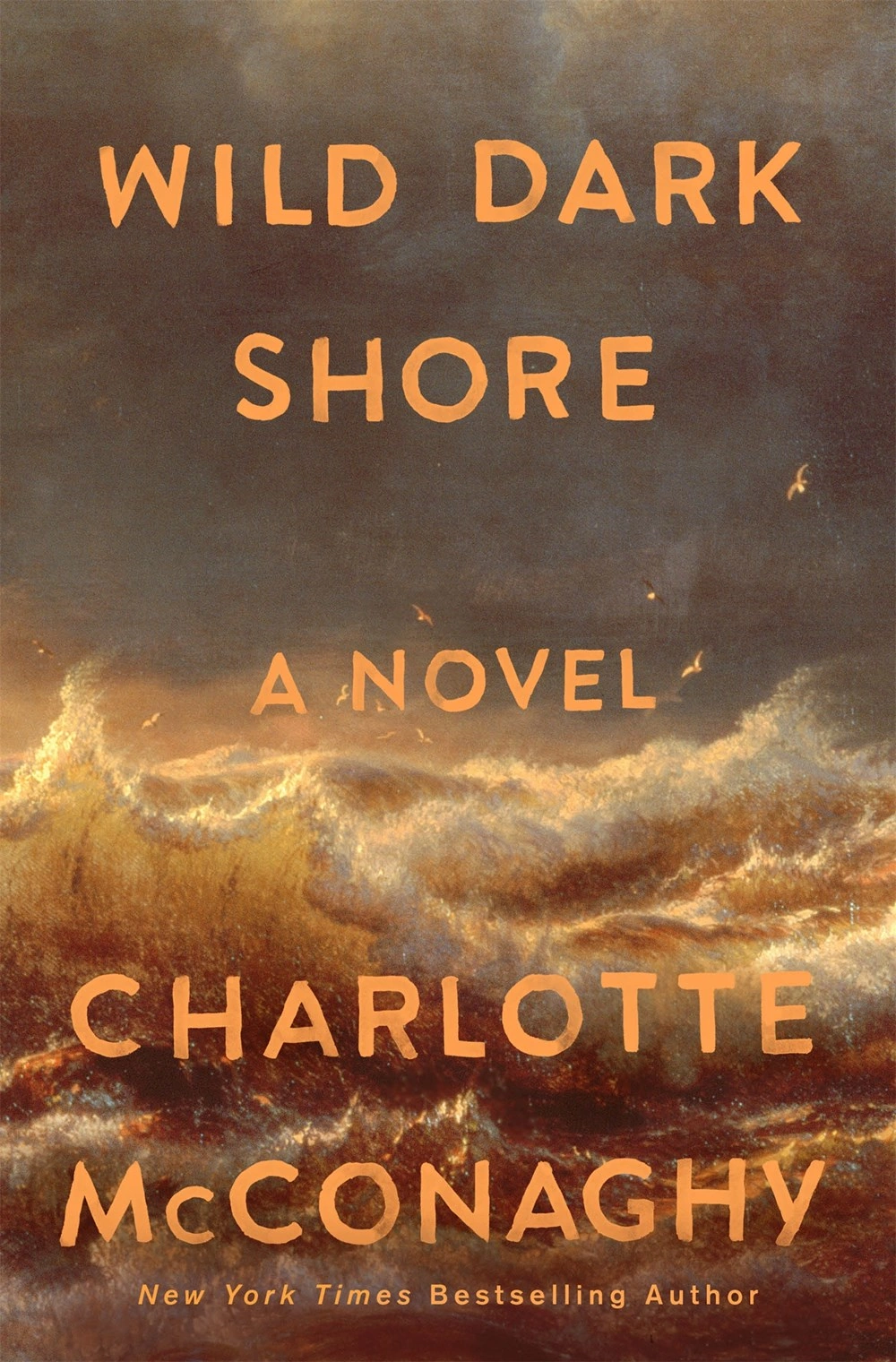 Featured image for Wild Dark Shore by Charlotte McConaghy in similar books list